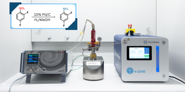 batch hydrogenation of difluoro-nitrobenzene